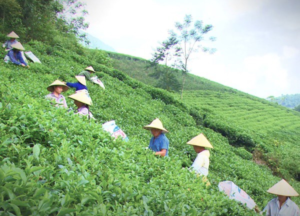 La Bằng - Mảnh đất tươi đẹp dưới chân Tam Đảo