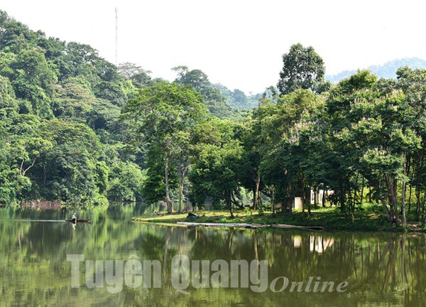 Thả mình vào thiên nhiên