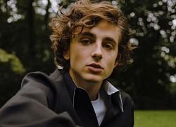 Timothée Chalamet: 'Ông hoàng' tương lai của Hollywood?