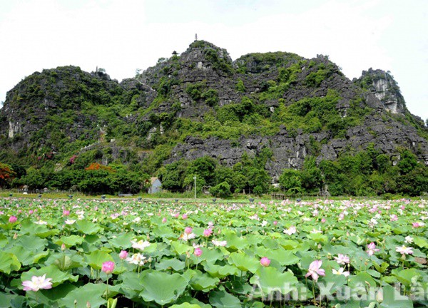 Vẻ đẹp của "Vạn Lý Trường Thành" tại Ninh Bình