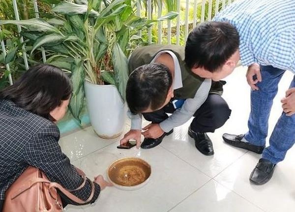 Dịch sốt xuất huyết ở Hà Nội đang diễn biến thế nào?