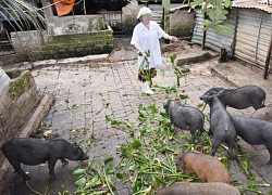 Đối tượng lợi dụng danh nghĩa báo chí để &#8216;bảo kê&#8217; xe tải từng đạt danh hiệu nông dân xuất sắc