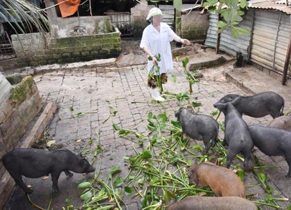 Đối tượng lợi dụng danh nghĩa báo chí để 'bảo kê' xe tải từng đạt danh hiệu nông dân xuất sắc