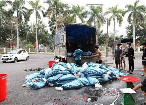 Lào Cai: Phát hiện, thu giữ gần 4 tấn cá tầm nước lạnh không rõ nguồn gốc