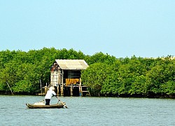 Một thoáng Đầm Thị Nại