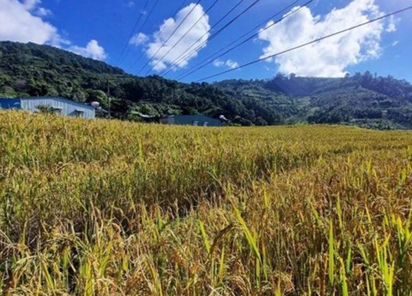 Thung lũng Măng Ri - "Nàng công chúa ngủ quên" giữa núi rừng Kon Tum