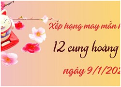 Tử vi vui 12 cung hoàng đạo ngày 9/1: Bạch Dương khá tốt, Xử Nữ phát triển