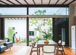 Chiêm ngưỡng ngôi nhà cấp 4 kiểu Nhật với tất cả các phòng có view nhìn ra khu vườn xanh mát