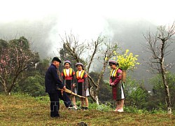 Đông đảo khách du lịch chọn Hà Giang là điểm đến du Xuân