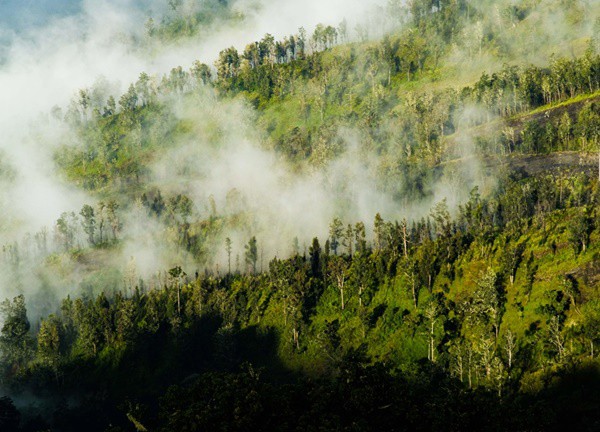 Hành trình chinh phục núi lửa Rinjani Indonesia của chàng trai người Việt