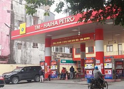 Cục Thuế tỉnh Thái Bình lên tiếng vụ Hải Hà Petro nợ thuế ngàn tỉ đồng