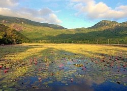 Nên đi du lịch Côn Đảo mùa nào?