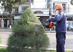 Tạo cảnh quan mới cho TP. Nha Trang