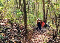 Thác nước Savin Ninh Thuận: Tiên cảnh hoang sơ và bình yên