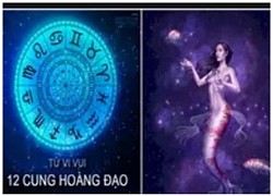 Tử vi vui 12 cung hoàng đạo ngày 13/1: Ma Kết ổn định, Song Tử chậm trễ