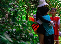 Hành trình leo đèo, vượt suối trekking Cửa Tử