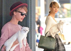 Mèo của Taylor Swift lọt top những thú cưng giàu nhất thế giới