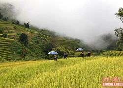 Cát Lình - Bức tranh đa sắc