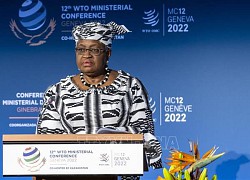 Hội nghị Davos 2024: WTO đán.h giá về thương mại toàn cầu trong năm 2024