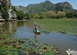 Khu danh thắng giữa vùng đầm lầy đẹp tựa 'Tràng An thu nhỏ' ở Thanh Hoá