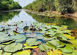 Kiệt tác thành lũy tự nhiên