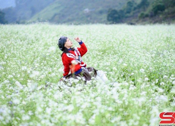 Sắc hoa trên cao nguyên Mộc Châu