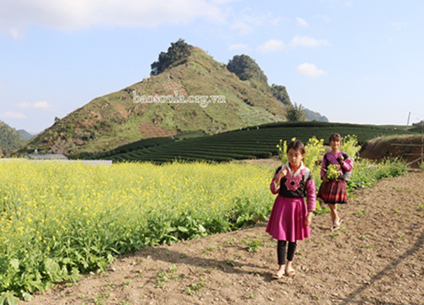 Thảo nguyên mùa hoa khoe sắc