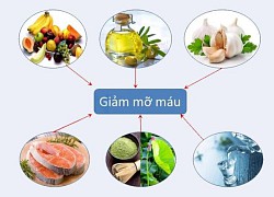 Ăn gì để giảm mỡ xấu trong máu?