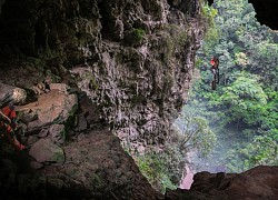 Để Phong Nha-Kẻ Bàng vươn tầm thế giới