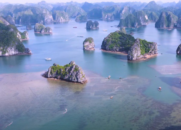 Say đắm trước vẻ đẹp của vịnh Lan Hạ