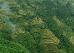 Ruộng bậc thang Hoàng Su Phì: 'Tác phẩm' nghệ thuật làm say đắm lòng người