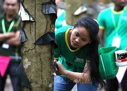 Sôi động hội thi &#8216;bàn tay vàng&#8217; của công nhân cao su Campuchia