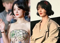 Triệu Lệ Dĩnh bất mãn, 'xỉ' thẳng mặt anti, đụng chạm xuất thân, Cbiz bất ngờ
