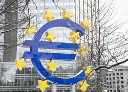 Hoạt động kinh tế tại Eurozone giảm lần đầu tiên kể từ tháng 2/2024