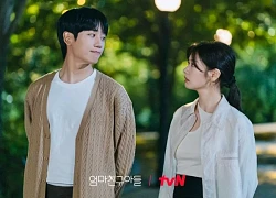 Phim của Jung Hae In bị tẩy chay vì "ăn cắp trắng trợn", netizen tức giận ủng hộ tác giả gốc kiện đến cùng