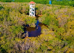 Rừng ở Huế thuộc hệ cực quý hiếm của Đông Nam Á, cách thành phố 15km, du khách đến được gặp "Robinson"