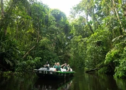 Costa Rica, từ thiên đường du lịch trở thành trung tâm &#8220;logistics&#8221; ma túy