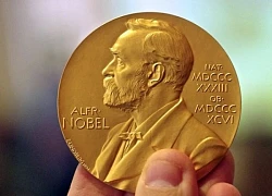 Những gương mặt sáng giá cho giải Nobel Hóa học 2024