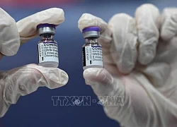 Tòa án EU xem xét các cáo buộc sai phạm trong quá trình mua vaccine ngừa COVID-19