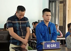 Tội ác đằng sau vô lăng