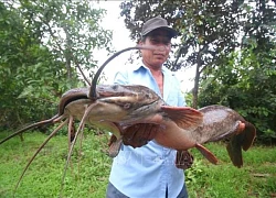 Bắt được con cá trê, người đàn ông chưa kịp ăn mừng đã tái mặt khi thấy 1 thứ trong bụng sinh vật