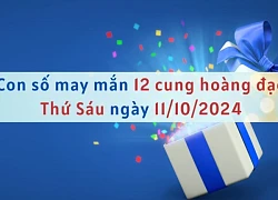 Con số may mắn 12 cung hoàng đạo hôm nay ngày 11/10/2024