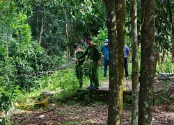 Tìm tung tích, lai lịch thi thể bé gái được phát hiện tại nghĩa trang ở Đắk Nông