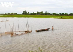 Về Đồng Tháp trải nghiệm du lịch mùa nước nổi