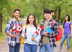 Canada siết chặt tiếp nhận sinh viên nước ngoài: Những biện pháp mới cần thiết