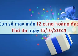 Con số may mắn 12 cung hoàng đạo hôm nay ngày 15/10/2024