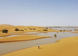 Hình ảnh kinh ngạc Sa mạc Sahara ngập lụt