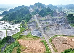 Ninh Bình "cắt" 38ha rừng tự nhiên cho doanh nghiệp sản xuất xi măng