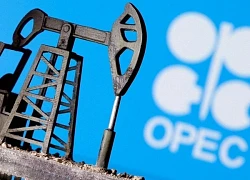 OPEC lại giảm triển vọng nhu cầu dầu thế giới