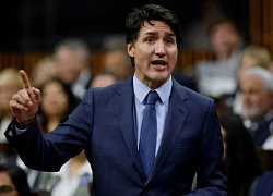 Rộ tin Thủ tướng Trudeau đối mặt âm mưu phế truất từ đảng Tự do Canada